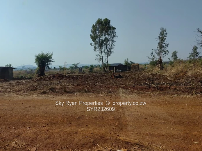 Crowhill Cleverhill stand for sale 