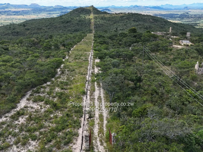 Residential Stands for Sale – Juliusdale, Nyanga (Sole Mandate)