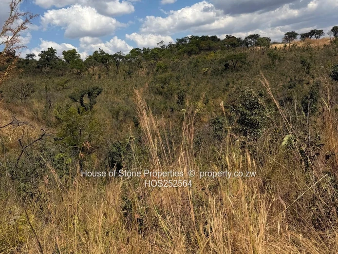 Christon Bank Land  For Sale
