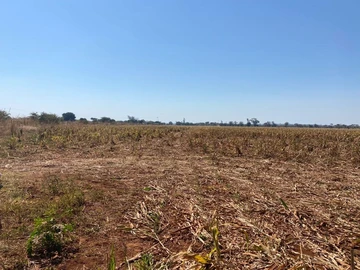 Farm & Agricultural Land