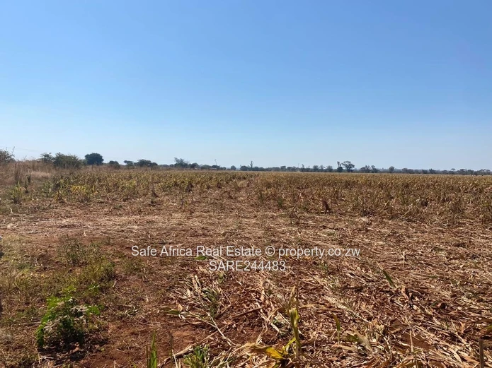 CHEGUTU 10 HECTARE AGRO- PLOTS FOR SALE Priced at $75k