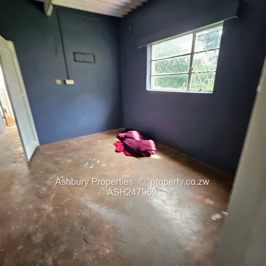 Compact Cosy Rental House Readily Available (Sole Mandate)