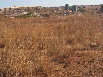 Stands & Residential Land