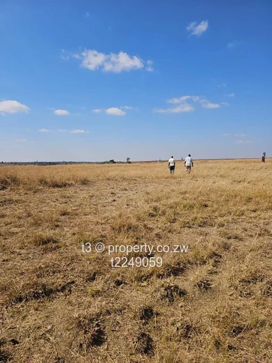10 Hectares Prime Arable Land for Sale – Nyabira 
