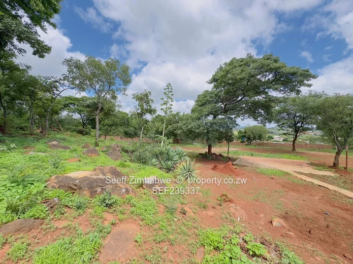 1.24 Acres With Existing Cottage In Gletwin