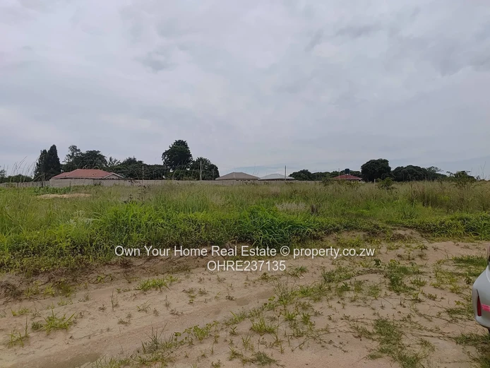 Greenskye Ruwa stands for sale 