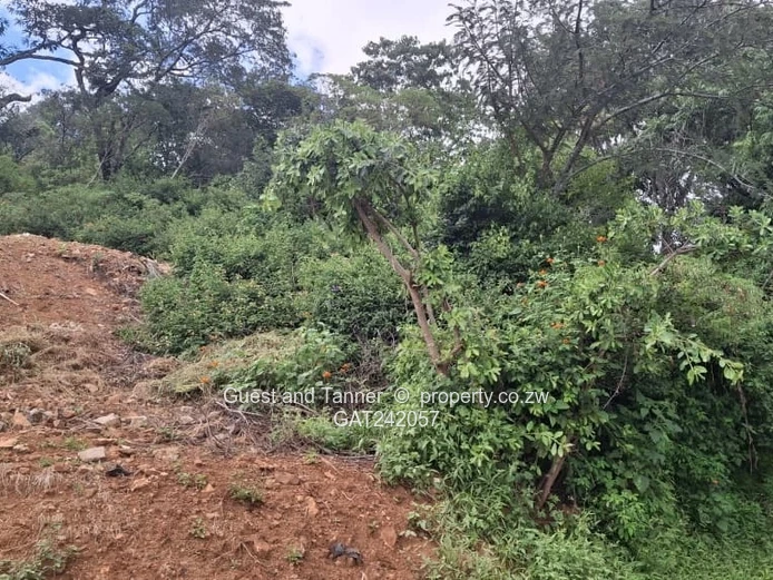 Prime Elevated Residential Stand for Sale in Helensvale – Gated Community