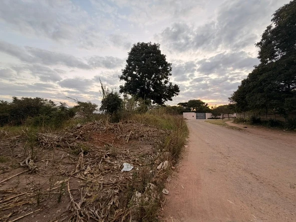 Stands & Residential Land