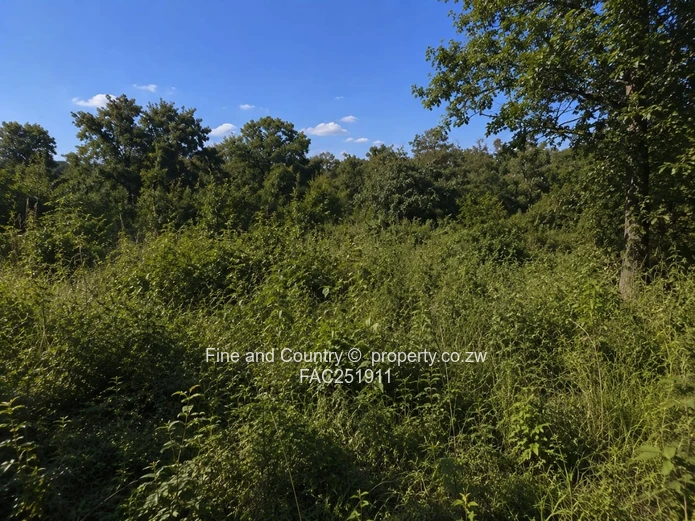 3 Acre Development Site in Burnside - Rare Opportunity (Sole Mandate)