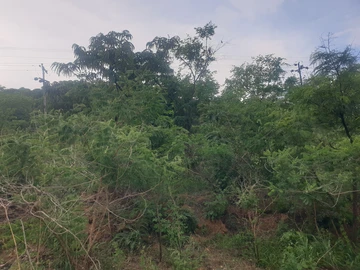 Farm & Agricultural Land