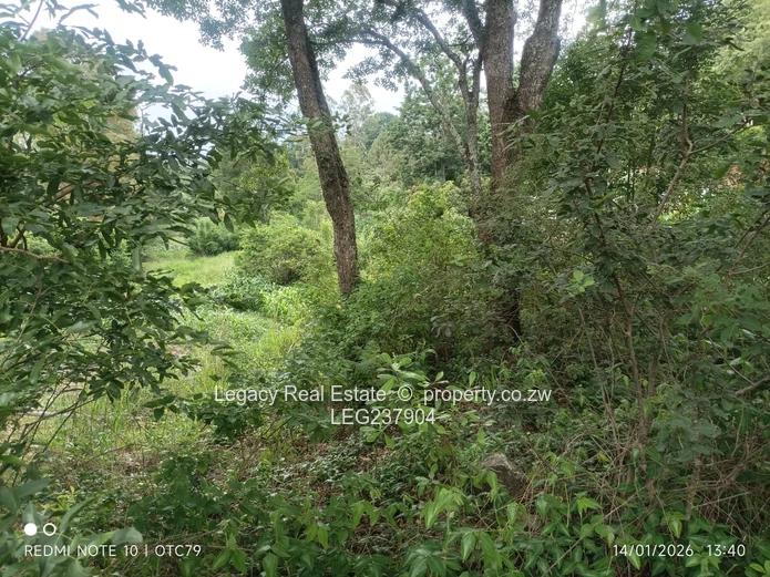 Glen Lorne Estate Property with Deeds ,Golden Oldie on Expansive Land,Ideal for Redevelopment