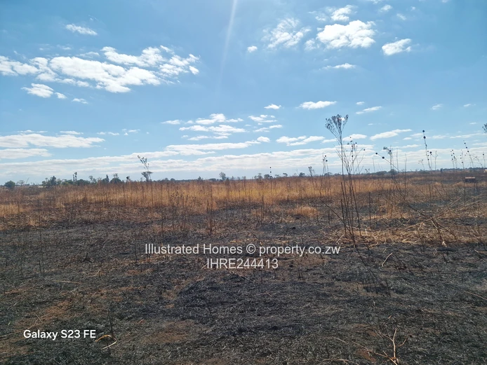 Chance to develop an Estate
