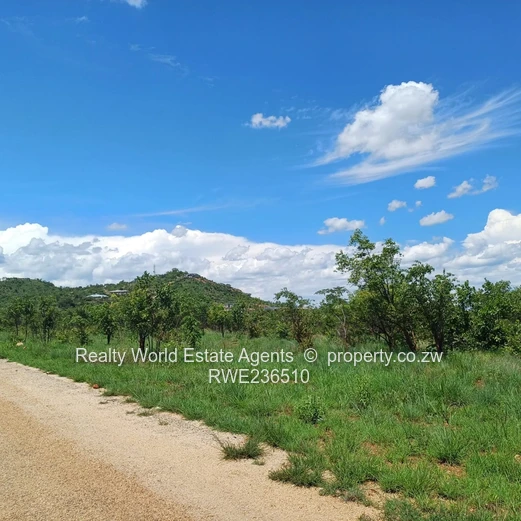 Masvingo Clipsham Stand For A School 