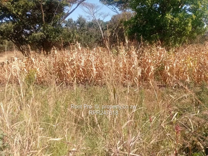 Highlands Land For Sale 