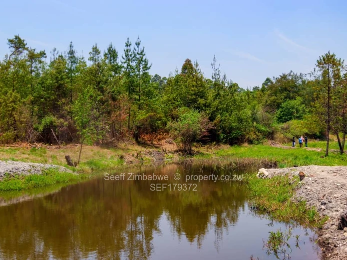 Stands & Residential Land for Sale in Nyanga, Manicaland, Nyanga