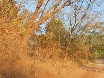 Farm & Agricultural Land