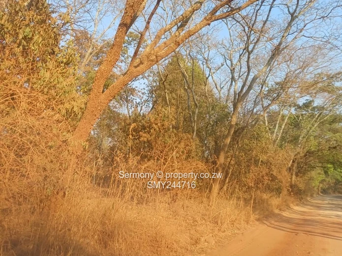 Agro Plot For Sale - Glen Forest