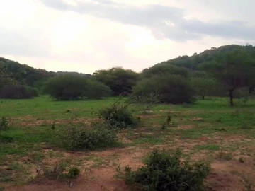 Farm & Agricultural Land