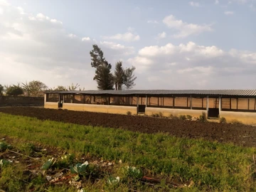 Farm & Agricultural Land