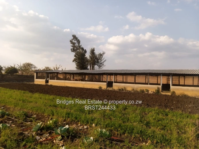 Fully Operational Peri Urban Agro Residential Plot (Sole Mandate)