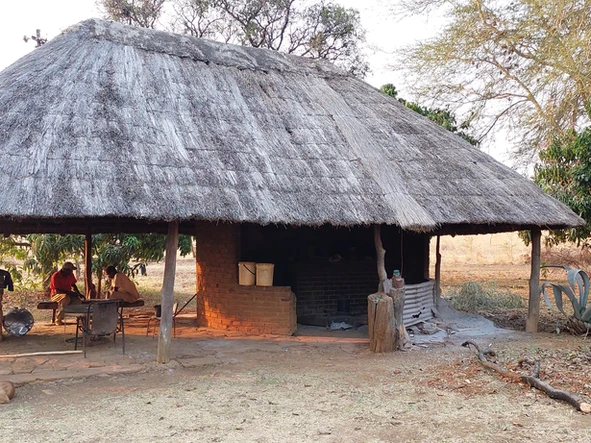 Farm & Agricultural Land