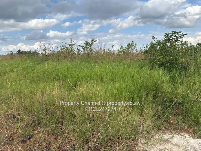 700m² Stand on Nyeredzi Ridge – Paved Road Access