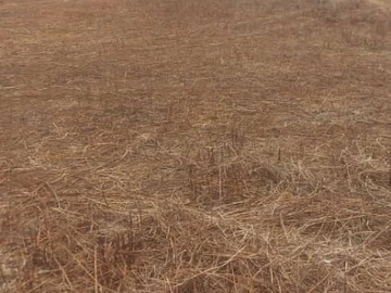 Prime 1200m² Land for Sale in Sandton Park, Harare West