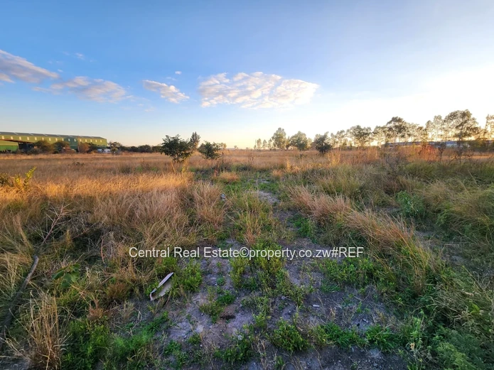 Zambezi Industrial Property For Sale D
