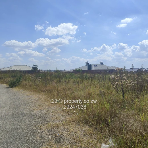 Erasmus Park Ruwa stand for sale
