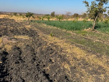 Farm & Agricultural Land