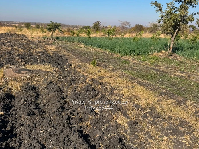 20HA FARM FOR SALE | ZVIMBA / NORTON USD 220,000 Going concern. Title deed. Surveyed.