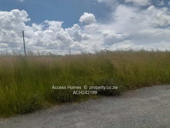 Nyabira Rosewood Park 