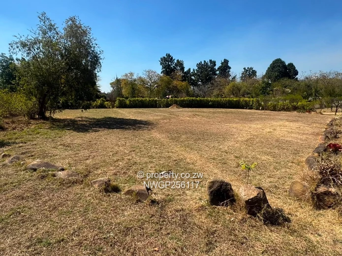 Spacious 4,823m² Stand with 3-Bed Cottage in Waterford