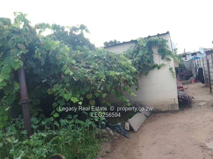 Affordable 2-Bed Home in Mabvuku - Walled Garden