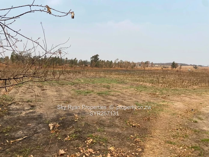 Spitzkop Land For Sale 