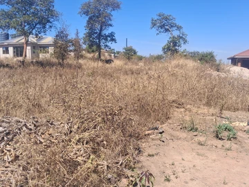 Stands & Residential Land