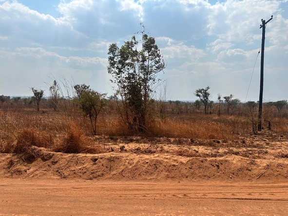 Stands & Residential Land