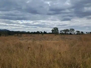 Farm & Agricultural Land