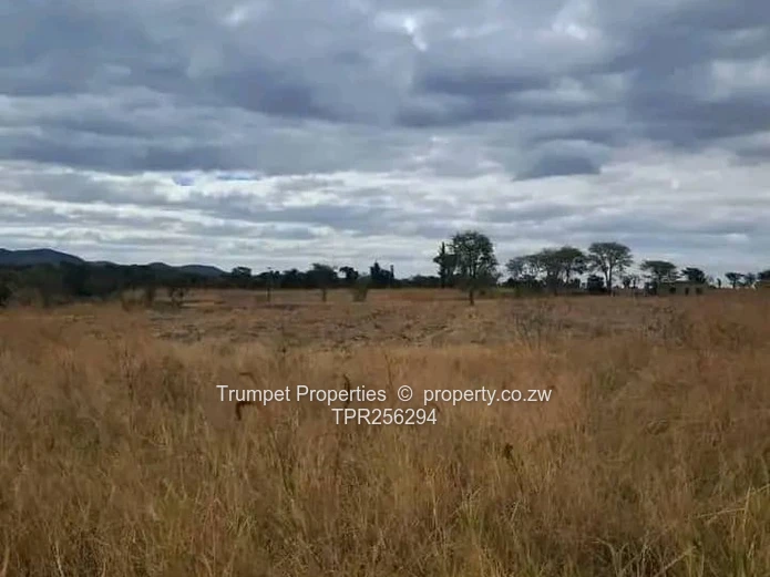 3ha Bushveld Grazing Farm in Kadoma with Gravel Road