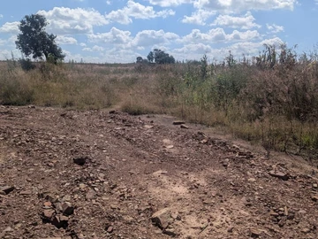 Land