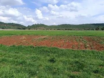 Farm & Agricultural Land