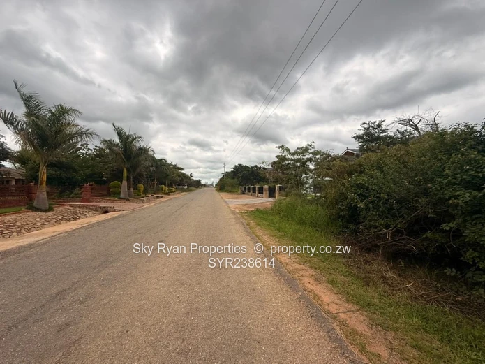 Arlington Stand For Sale