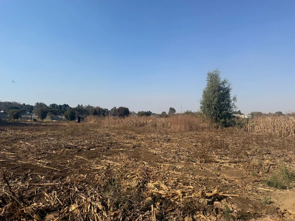 Stands & Residential Land