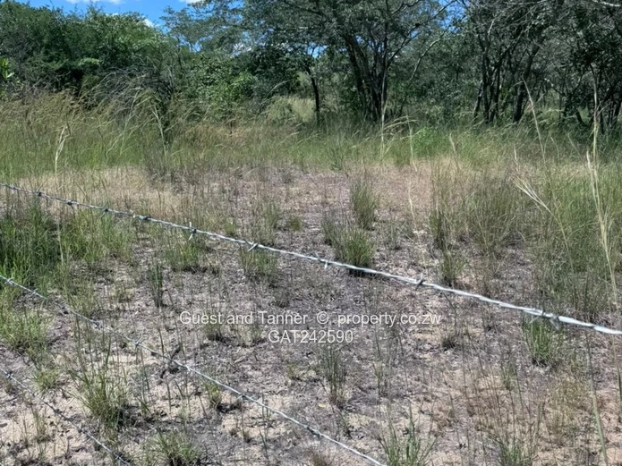Masvingo Highway Land for Sale – 10ha Perfect for Plaza, Truck Inn or School