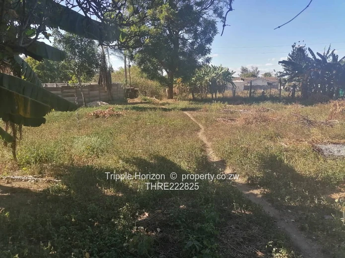 Massive Investment Opportunity 