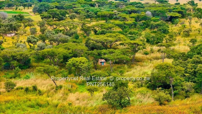 Mazowe South Farm!!!