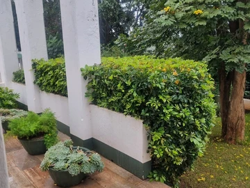 3 Bedroom Garden Flat