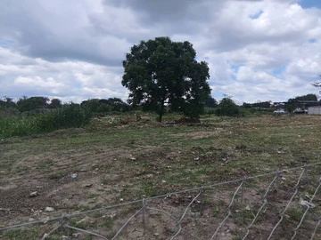 Commercial & Industrial Land