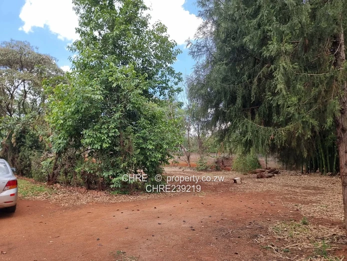 Greendale Property To Let