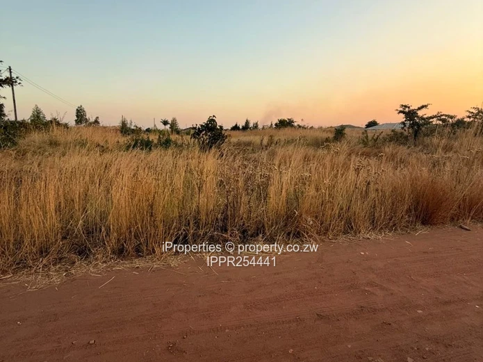 Prime 2732sqm Fully Serviced Stand - Unmatched Investment Potential (Sole Mandate)